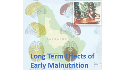 Malnutrition and Brain Development Image